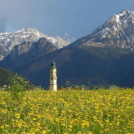 Burgfraeulein, Edelweiss, Im Allgaeu, Koenigscard *